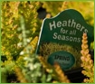 heather